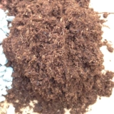 Дендробий кандидам матрикс цветочный грязь почва, сосновая кора торфяной глиняная вулканическая порода зеленая диатомовая диатомовая почва Профессиональная подготовка