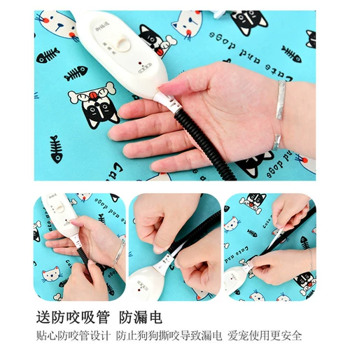 PET Electric Blank Puppy Special Ges