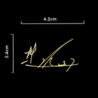 Вентилятор Zhendong Metal Passes B Тип B