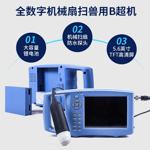 Beast B -uultrasound Pig -B -uultrasound Высокопроизводительный с высоким содержанием экрана, скот и овец с B -ультразвуковым Ультразвуковым Ультразвуковым Ультразвуковым Тестерами Инструмент диагностики