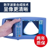 Beast B -uultrasound Pig -B -uultrasound Высокопроизводительный с высоким содержанием экрана, скот и овец с B -ультразвуковым Ультразвуковым Ультразвуковым Ультразвуковым Тестерами Инструмент диагностики