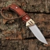 Buck chính hãng ngoài trời gấp dao với tự vệ hoang dã sống sót độ cứng cao quân đội dao cắt dao gấp dao - Công cụ Knift / công cụ đa mục đích