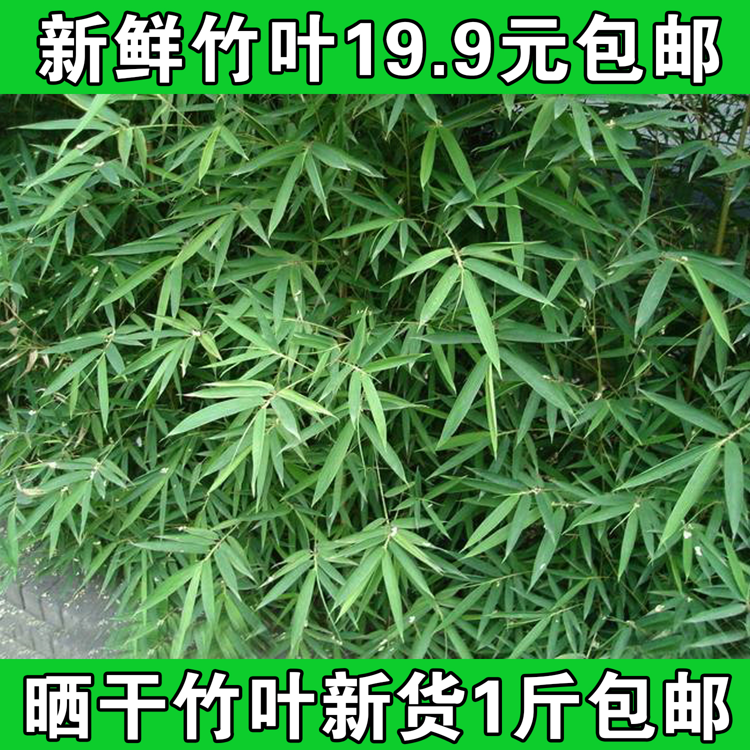 淡竹叶 Dan Zhu Ye / Herba lophatheri /Lophatherum stem & leaves / Common ...