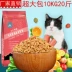Pet Qiansui Nutrition Cat Food Cá Biển Sâu Hương Vị Thịt 10kg vào Cat Cat Food Cat Thức ăn Chính 20kg Cá Biển Hương Vị