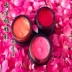 Tự nhiên rose cánh hoa thực vật phương pháp cổ đại lỏng rouge sữa nhuộm lip lip son bóng son bóng son môi màu đỏ Blush / Cochineal