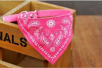 Роза красная