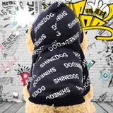 Осенний свитер, милый кролик, домашний питомец, кот