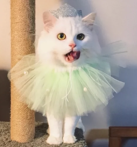 Милый шлем, аксессуар для волос с бантиком, шарф ручной работы подходит для фотосессий, галстук-бабочка, подарок на день рождения