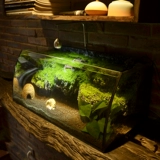 Небольшой рыбацкий вентилятор творческий настольный компьютер гостиная Домохозяйство Прозрачная стеклянная золотая рыбака