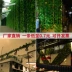 Mô phỏng trần lá mây trang trí lá xanh phòng khách nhựa giả hoa màu xanh lá cây ống nước quanh co cây nho - Hoa nhân tạo / Cây / Trái cây Hoa nhân tạo / Cây / Trái cây