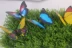 Mô phỏng bướm trang trí bướm nhựa treo tường sticker cỏ bóng hoa trang trí mô phỏng động vật - Hoa nhân tạo / Cây / Trái cây Hoa nhân tạo / Cây / Trái cây