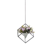 Nordic Creative Store Geoppy Draf Потолочный отдел отделки подвесной молочный чай магазин сельдерей сельдерей