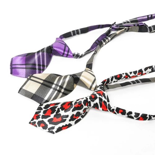 Воротник, ведущий собаку, питомец