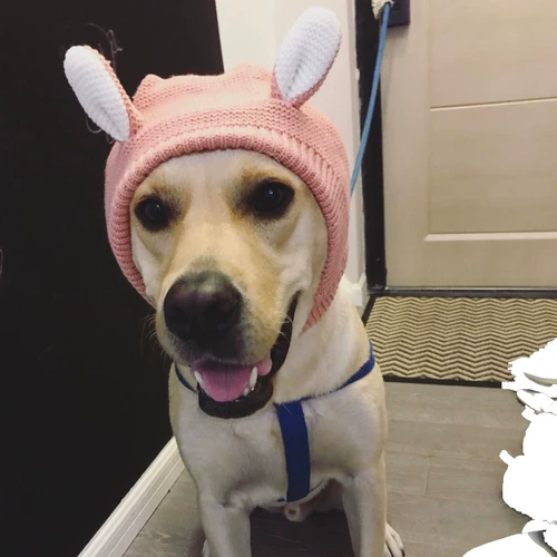 Шапка, зимний милый шерстяной удерживающий тепло шарф