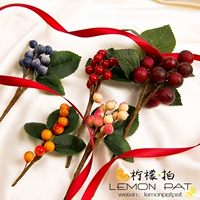 Mô phỏng cao Berry Fruit Branch Frost Blueberry Branch Yangmei Branch Mini Trang trí Taobao Nền vải Chụp ảnh Đạo cụ - Trang trí nội thất trang trí nhà đẹp