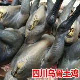 Цыпленок в золотом Sichuan Tuji Kinjin