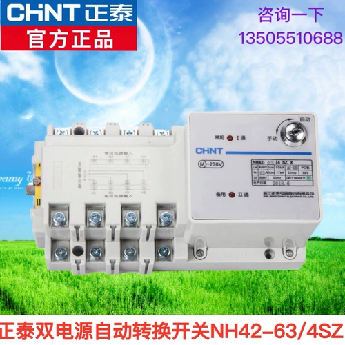 Zhengtai Dual Power автоматический переключатель преобразования NH42-63/4SZX 4P 63A Автоматический переключатель ПК ПК Уровень