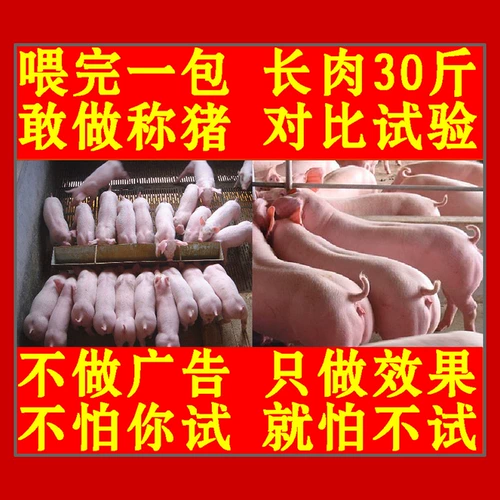 Белок большой свинья специального типа удобрения способствуют большим весам, жирным положениям, адаптационной свиней с мясо