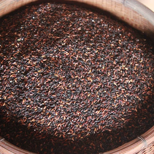 Ключ 戠 绉 绉 鍐滃 佸 佸 佸     戠 戠 500G 鍐滃 旇 旇 旇 楃 楃 楃 ュ ュ ュ 戠 戠 3 浠 浠 闾 闾