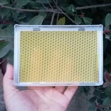 Новая полу -трансбадной гнездо медовая коробка 500 г с гнездом пластиковая коробка гнездо медовая сетка пластиковая бутылка для медовой бутылки 1000G 2020