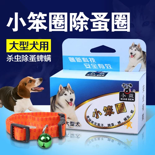 Маленькие глупые домашние животные, снимающие кольца блох.