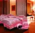 Vẻ đẹp mới trải giường bốn bộ vật lý trị liệu khăn trải giường da bông massage giường bao gồm bốn bộ vận chuyển quốc gia