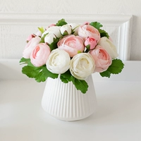 E Model- (2 Pink+Fan City White Trumpet)