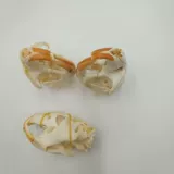 Образец животных мыши для создания костяных растений черепа, мыши, мыши, бамбуковой крыси