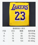 NBA LeBron James Lakers sân nhà phiên bản sw-fan của áo - Thể thao sau