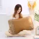 Biscuit Hua Pillow House 1