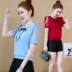 2018 mùa hè của phụ nữ ren voan áo sơ mi mới của Hàn Quốc ngắn tay đáy áo sơ mi hoang dã mỏng T-Shirt áo sơ mi ngắn Áo sơ mi chiffon ren