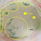 Алиса повесила навеса салон купание купание пудвое туалет, приготовленный в окрашенном масле и вонючий аромат, чтобы предотвратить гриб