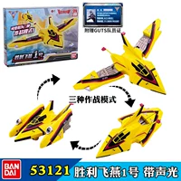 53121 Фейян № 1