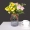 Bình thủy tinh mới đơn giản hoa chai phổ quát mô phỏng bình hoa mô hình máy tính để bàn trang trí nhà trang trí - Vase / Bồn hoa & Kệ
