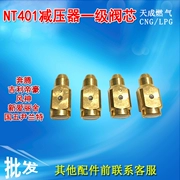 CNG ô tô giảm áp khí tự nhiên spool R03 giảm áp áp lực giai đoạn đầu tiên ống chỉ NT401 hệ thống giảm áp spool - Sửa đổi ô tô