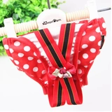 Подтяжки, физиологичные штаны, хлопковое нижнее белье