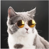 Солнцезащитные очки, трендовый аксессуар, кошачий глаз