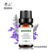 Yuelu trung tâm tinh dầu đơn phương trung tâm hiền triết tinh dầu hiền triết 10ml nhà sản xuất hương liệu tự nhiên - Tinh dầu điều trị