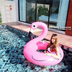 Vòng bơi fliringo flamingo để tăng dày nách phao cứu sinh bơm nước trôi nổi trôi giường phao bơi em bé Cao su nổi