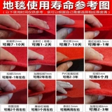 Jinning Liaoning Red Carpet One -Time Wedding Wedding Store Wedding Swide Studies Lograved Jilin на долгое время