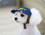 Настройка PT!Шляпа для питомцев, собаки Sunbur hat teddy orty ortyona snowball baseball hat кошка