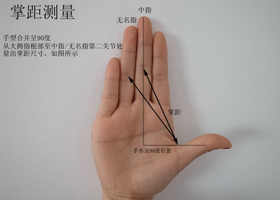 Профессиональные быки Chuangsheng Products Open Pinger Pole (Loat/Flying San) бурение