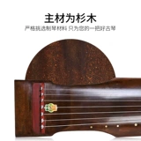 Этнические музыкальные инструменты для взрослых для начинающих, Шанхай