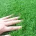 Huade thảm ảnh mô phỏng thảm cỏ giả Taobao chụp ảnh vải nền cỏ xanh cỏ nhân tạo Thảm