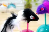 Кошачья игрушка, кролик, пена, мышь, кошка, маленькая игрушка для мыши становится котятом дразнящей кошачьи игрушки для кошки