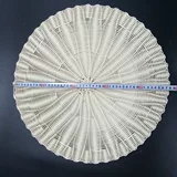 Songzheng Imation Grass New Steamer Pad Бесплатная машин для чистки, неживая парованка, паровая паровая на пару парена