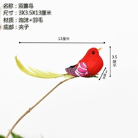 1 двойная счастливая птица