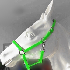 Недоуздок 马龙头，马术运动，马匹装备，牵马龙套，pvc马龙头各种颜色