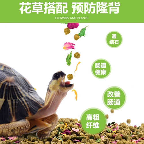 Перекаль фруктов фрукты черепаха еда повторения цветочные цветочные зерно леопардовые черепаха