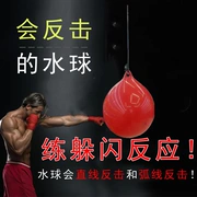 Boxing tốc độ thông hơi bóng phản ứng bóng mục tiêu thiết bị đào tạo tumbler đấm bốc truy cập bóng nhà đấm bốc - Taekwondo / Võ thuật / Chiến đấu